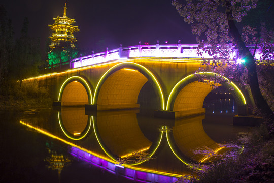 洋湖濕地公園夜景