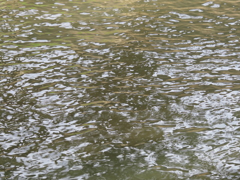 水面 水面波紋