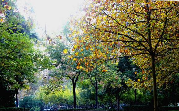 街心公園