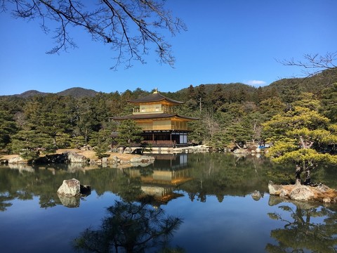 金閣寺