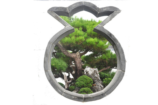 盤景