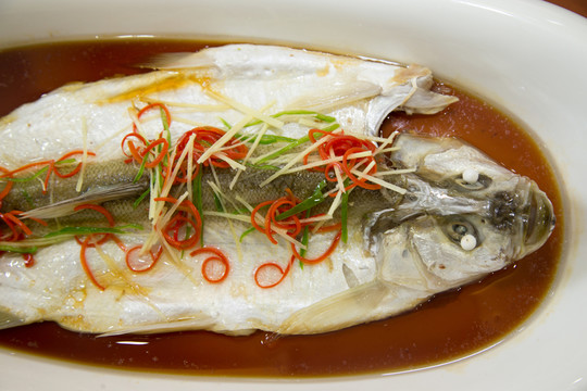 魚類 蒸菜 鱖魚 白絲 白絲魚