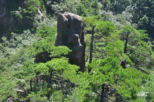 黃山奇石