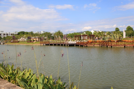 岸邊