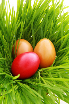 easternest