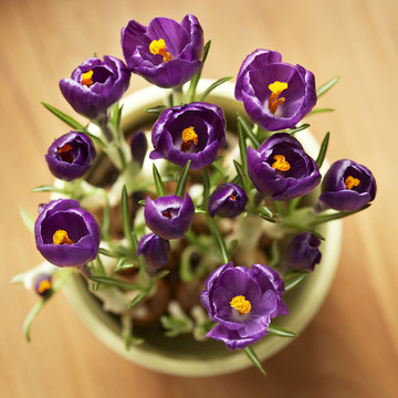 花卉