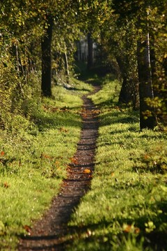 路