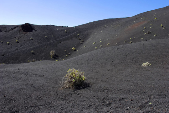 火山在拉帕爾馬