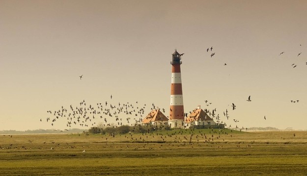 westerhever