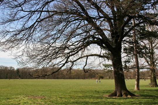 城市公園