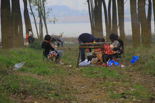 樹林中燒烤