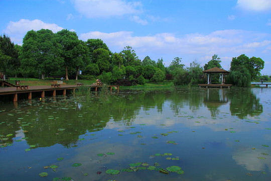 長沙月湖公園