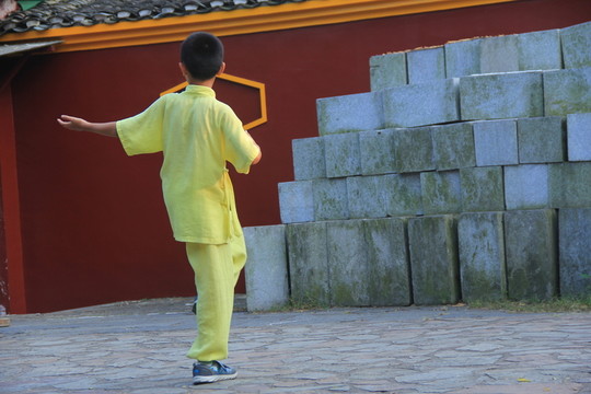 少年習武練太極