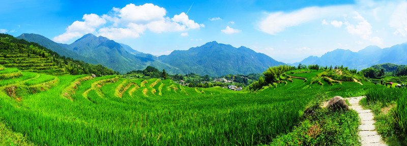 梯田