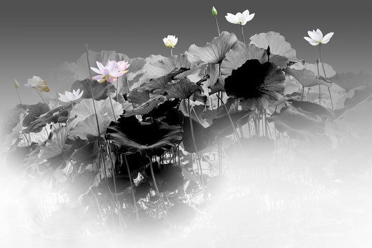 裝飾畫花韻