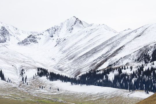 雪山