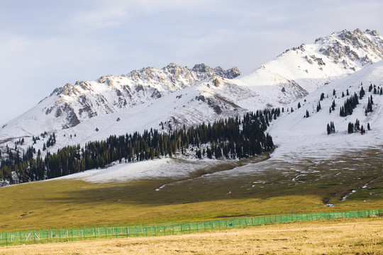 雪山