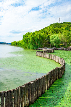 湖畔 湖水景觀 湖泊