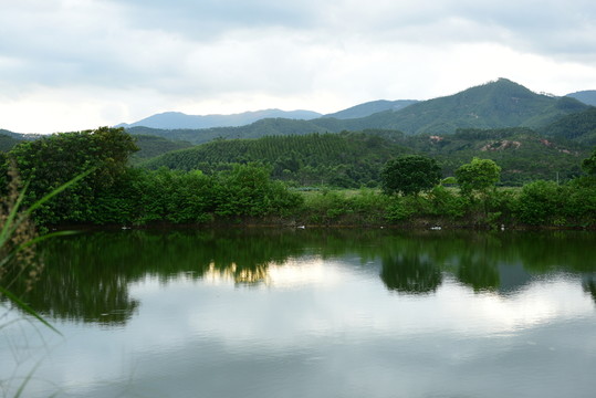 鄉(xiāng)間地頭