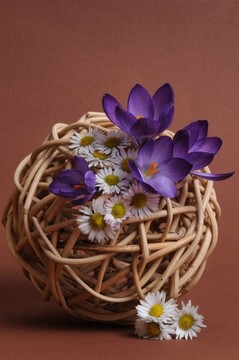 花卉