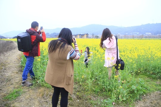 油菜花海中拍人像