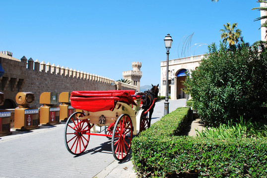 馬車夫咖啡mallorchina 469