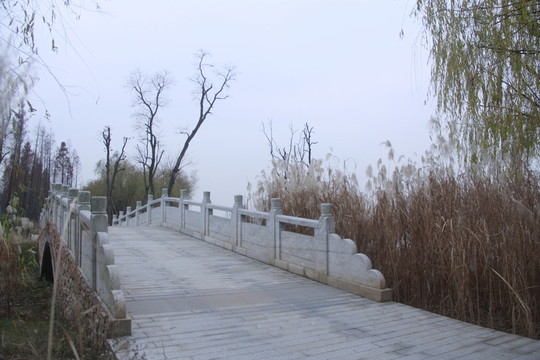 巴溪洲
