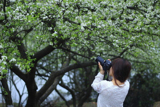 女?dāng)z影師拍花