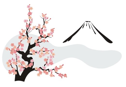 富士山前的櫻花