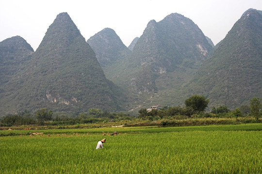 陽(yáng)朔