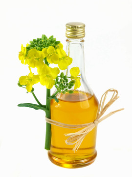 菜籽油