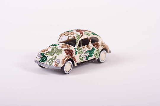 模型車的甲蟲