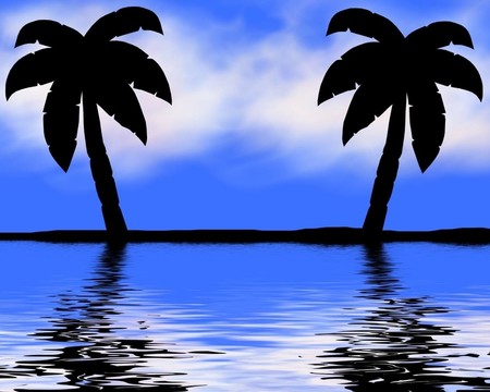 海灘上的棕櫚樹