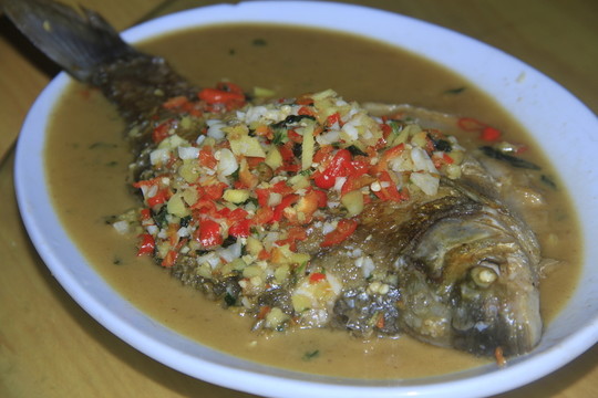 清蒸紅燒魚