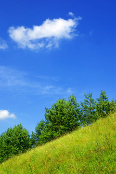 藍(lán)色的山