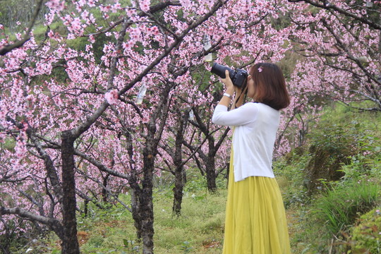 美女?dāng)z影師拍桃花