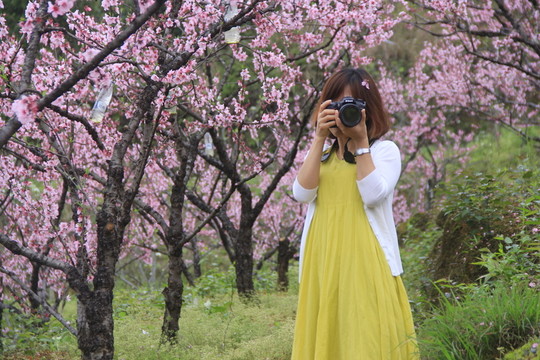 美女?dāng)z影師拍桃花
