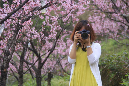 美女?dāng)z影師拍桃花