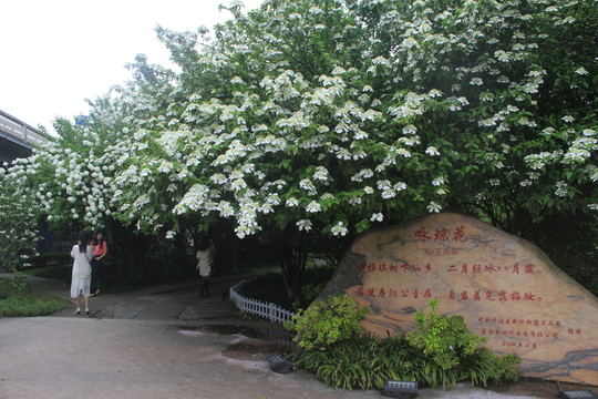 紫鳳體育公園