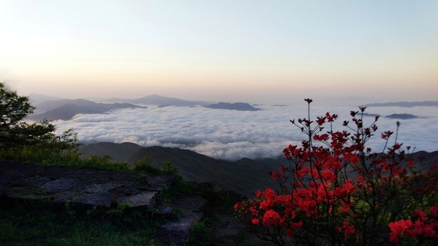 大圍山日出云海