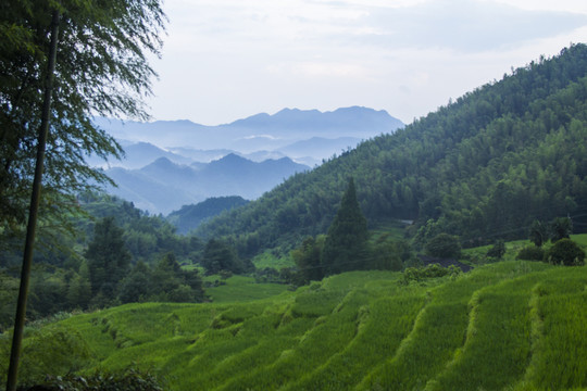 七星嶺湖洋梯田風(fēng)景區(qū)