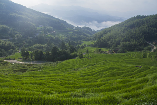 七星嶺湖洋梯田風(fēng)景區(qū)