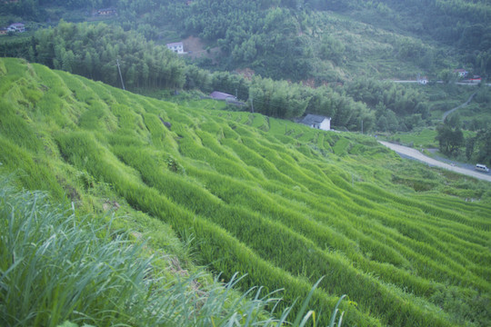 七星嶺湖洋梯田風(fēng)景區(qū)