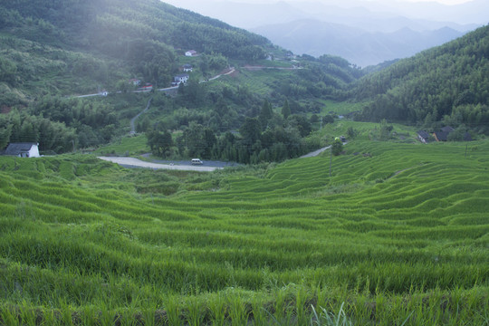 七星嶺湖洋梯田風(fēng)景區(qū)