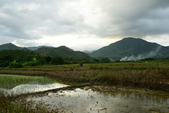 鄉(xiāng)間地頭