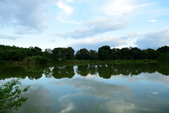 鄉(xiāng)間地頭