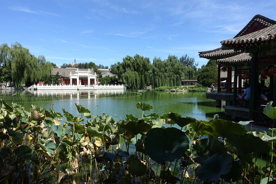 北京大觀園 景觀