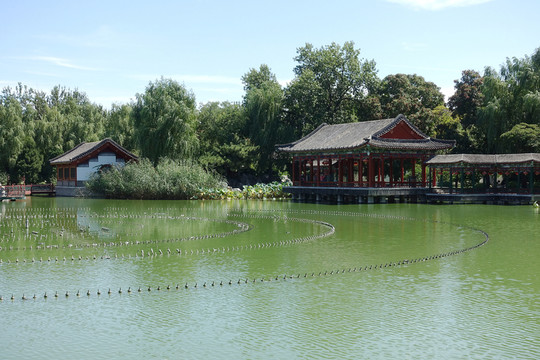 北京大觀園 藕香榭