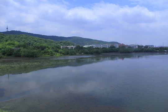 桃子湖