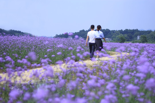 情侶賞花